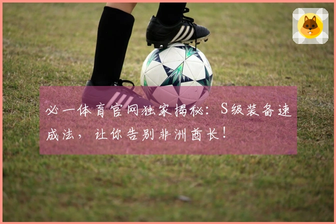 必一体育官网独家揭秘：S级装备速成法，让你告别非洲酋长！