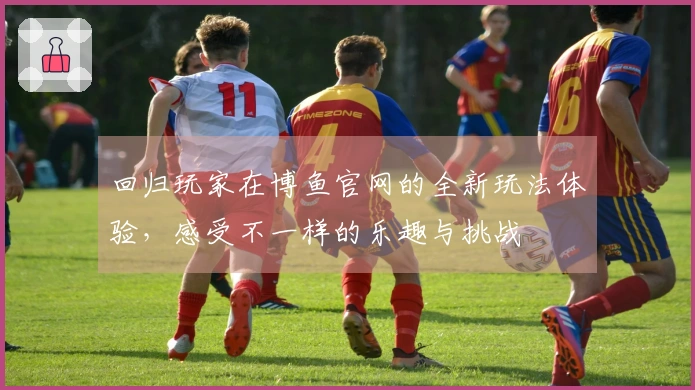 回归玩家在博鱼官网的全新玩法体验，感受不一样的乐趣与挑战